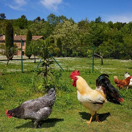 El Celler - Can Bonet San Martí Vell Zewnętrze zdjęcie